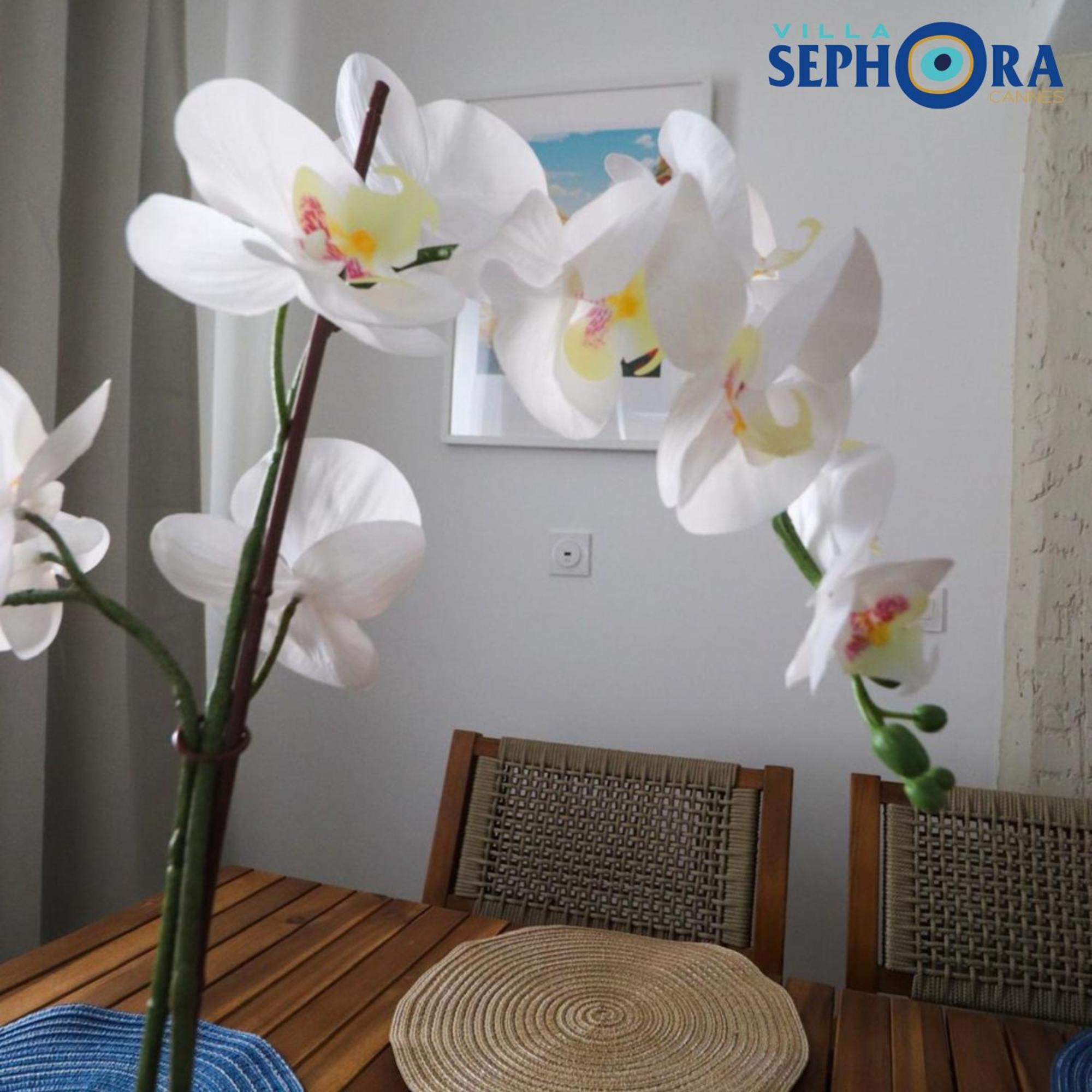 Villa Sephora Cannes Eksteriør bilde